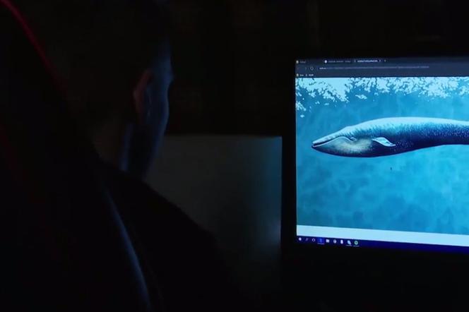 Błękitny wieloryb w Małopolsce. 14-latek namawiany do popełnienia samobójstwa [AUDIO]
