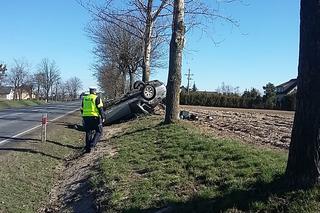 Kierowca BMW uderzył w drzewo w gminie Lubicz