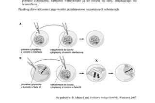 Matura 2018 z biologii. Poziom rozszerzony - arkusze CKE