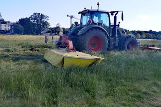 Traktory wjechały na największą łąkę w mieście. Sianokosy na krakowskich Błoniach