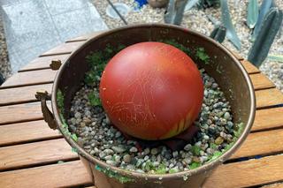 Harry Potter. Szkoła magii zawitała do polskiego zamku! Na zwiedzających czekały postacie z książek i liczne artrakcje [ZDJĘCIA]