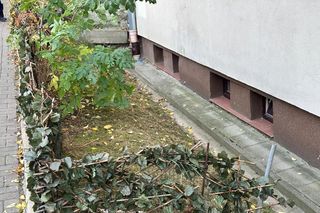 Tragedia w Warszawie. 1,5-roczna dziewczynka wypadła z 3. piętra na Woli. Dziecko jest w stanie krytycznym