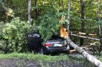 Katowice: Kierowca BMW uderzył w drzewo w Lesie Murckowskim. Jest w stanie ciężkim. 