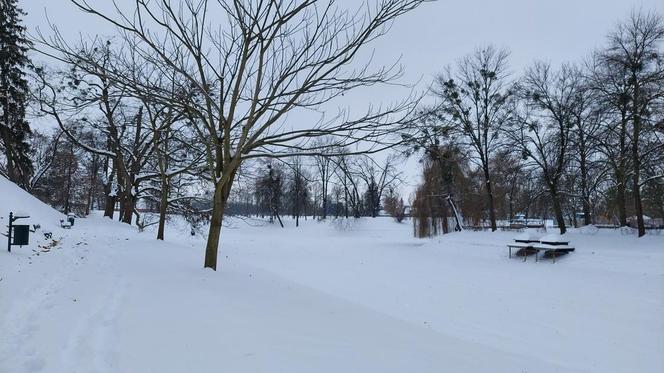 Zamojski Park pod śniegiem