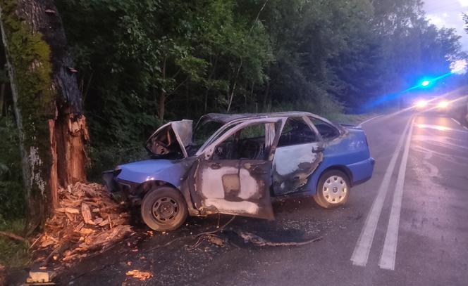 Tragiczny wypadek na trasie Olsztyn-Nikielkowo. Kierowca zmarł na miejscu [FOTO]