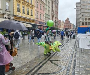 Gorąco przed finałem Ligii Konferencji we Wrocławiu. Tysiące kibiców na Rynku 