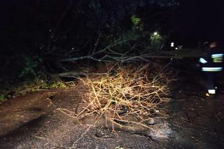 Burzowa noc w Śląskiem. Blisko 10 tys. osób bez prądu. Piorun popalił dom 