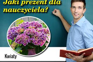 04 nauczyciele galeria