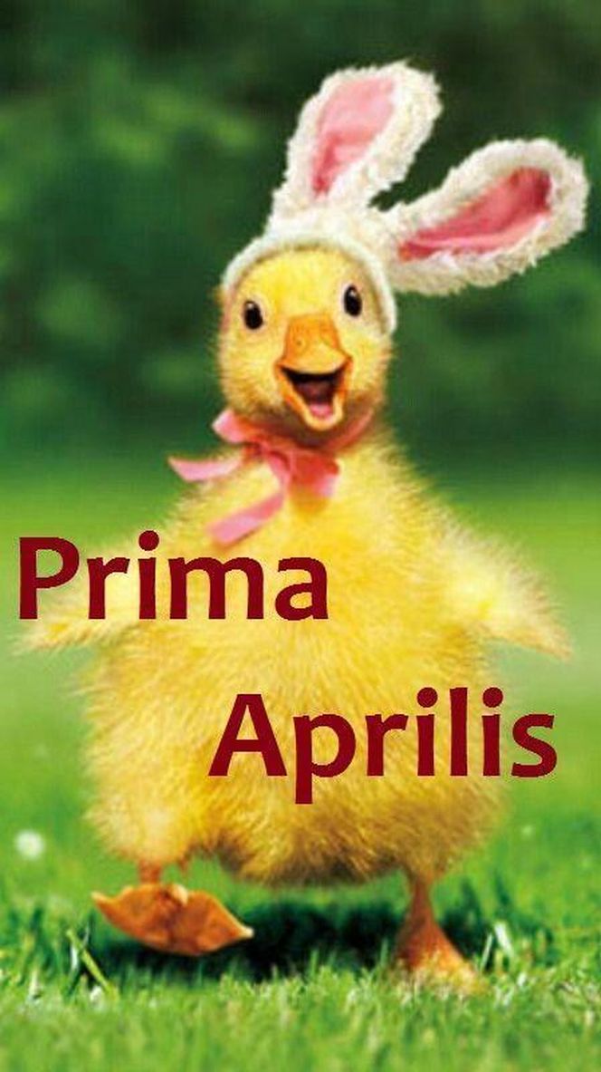 Kartki i grafiki na Prima Aprilis 2025. Pobierz za darmo i świętuj 1 kwietnia z humorem!