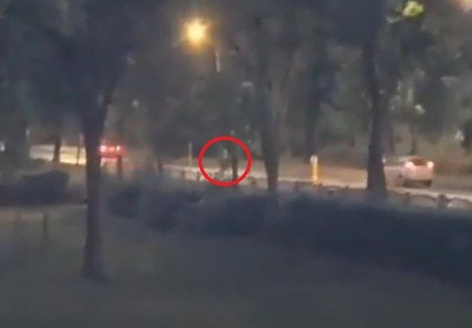 Atak maczetą w Sosnowcu. Policja strzela do napastnika