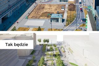 Zielona oaza na placu Powstańców Warszawy