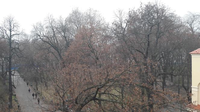 Smog spowija Małopolskę. Zła jakość powietrza nie tylko w Krakowie