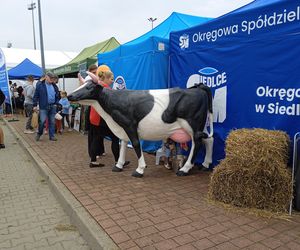 Międzynarodowe Dni z Doradztwer Rolniczym 2025 w Siedlcach