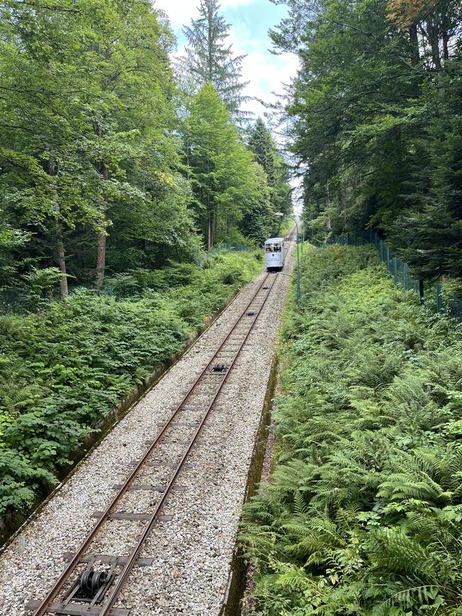 Krynica-Zdrój - zwiedzanie i atrakcje. Co tu zobaczyć i ile to kosztuje?