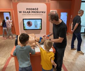 Słońce rządzi w Olsztynie! Wakacyjne spotkanie w Kortosferze 