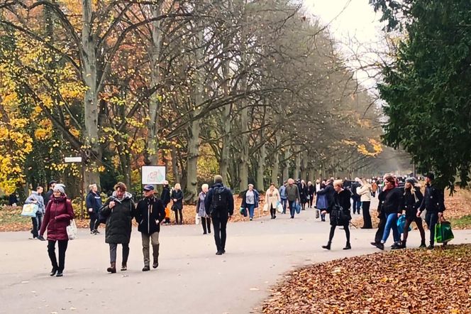 1 listopada na Cmentarzu Centralnym w Szczecinie