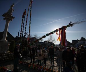 Wyjątkowa wieś w Małopolsce. Ma najpiękniejsze i największe palmy wielkanocne 
