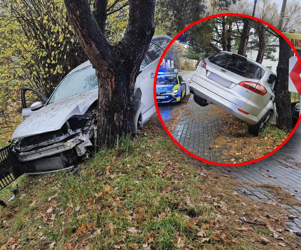 Pijany Ukrainiec rozbił auto na drzewie