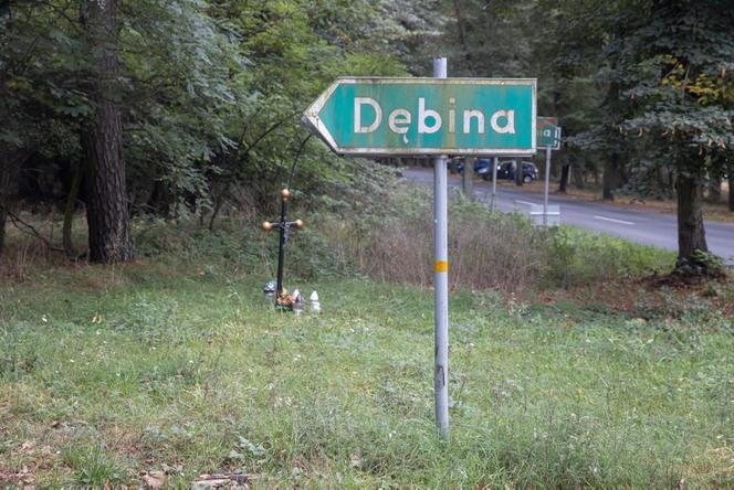 Matka broni grzybiarza