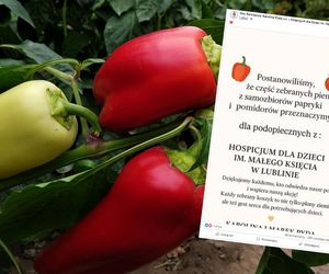 Rolniczka chce oddać część przychodów na hospicjum