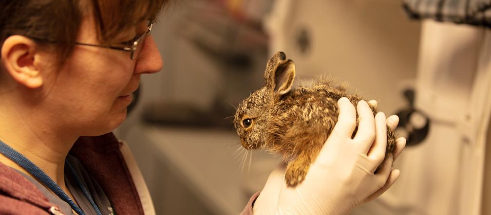 Wyrzucili Filipka na śmietnik