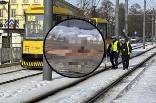 Dramat, staruszka wpadła pod tramwaj! W akcji wszystkie służby