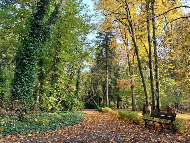 Chodźcie z nami na spacer po Ogrodzie Botanicznym UKW w Bydgoszczy. To ostatnia szansa!
