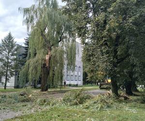 Zniszczenia po burzach w woj. lubelskim
