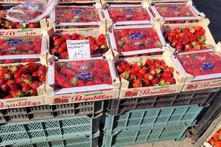 Drożyzna na olsztyńskim targu. Za kilogram truskawek zapłacimy nawet 40 zł! [ZDJĘCIA]