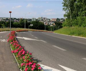 Starachowice. To najbardziej ukwiecone miasto świętokrzyskiego