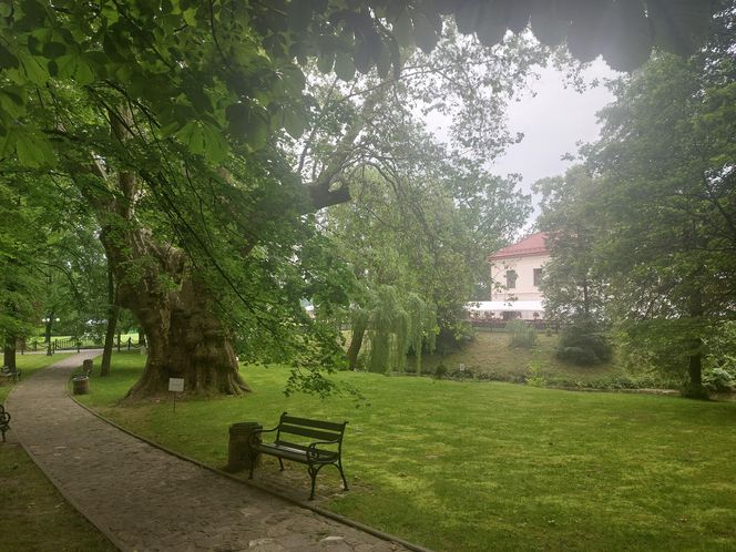 Zamek Dubiecko