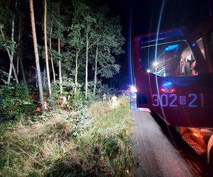 Wypadek na S1 w Katowicach. Samochód wypadł z drogi i stanął w płomieniach!