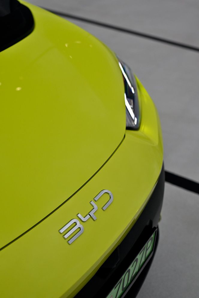 BYD DOLPHIN SURF