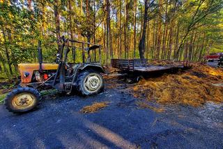  W środku lasu spłonął traktor z transportem siana