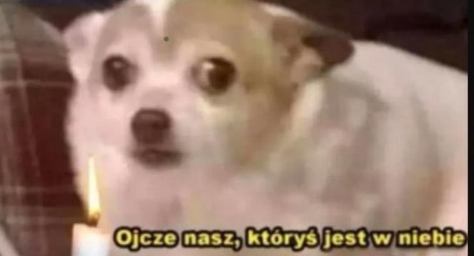 Najlepsze memy po meczu Polska - Argentyna! 