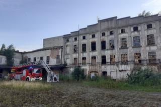 W pustostanie w centrum Łodzi zawalił sie dach. 7 zastępów strażaków  przeszukuje gruzowisko