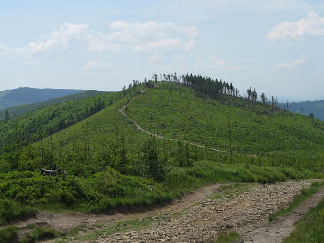 Oto najpiękniejsze szlaki turystyczne w Beskidzie Śląskim