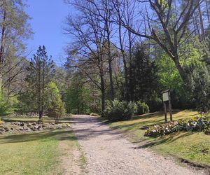 Arboretum w Kopnej Górze. Puszcza w pigułce