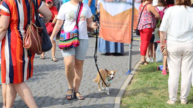 Tak wyglądał piknik rodzinny w Lublinie na koniec wakacji! Zobacz zdjęcia