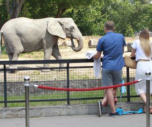 Niebezpieczne incydenty w warszawskim zoo. Ogród ma ważny apel 
