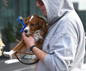 Krzysztof Gojdź przyleciał do Polski