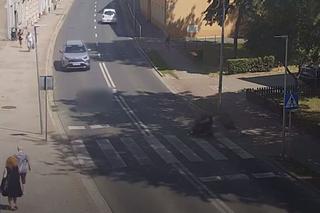 Przerażający wypadek w Sulechowie! Niepełnosprawny mężczyzna wyleciał z wózka po potrąceniu na przejściu [ZDJĘCIA] 