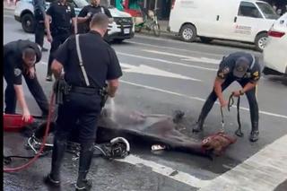 Padł z wycieńczenia na jezdnię