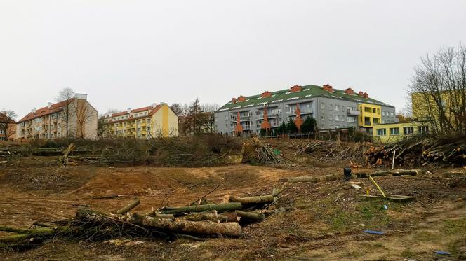 Przy ulicy Janosika wycięto dziesiątki drzew
