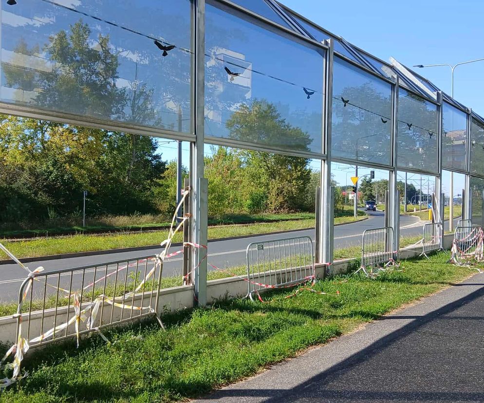  Bydgoszcz ma problem z wandalami. Demolują przystanki i ekrany. Wszystko jest naprawiane z naszych podatków [GALERIA]