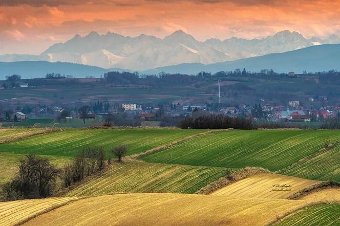 Ponidzie. Widok na Tatry
