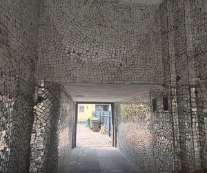 Bydgoszczanka w stolicy stworzyła palmę, a w Bydgoszczy magiczną lustrzaną bramę. Jak po latach wygląda ta instalacja? 