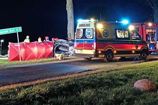 Roztrzaskał się na drzewie, bo myślał, że go śledzą