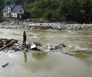 Burmistrz wyjechała na drogie wakacje, w tym czasie jej miasteczko zalała wielka fala. Nie wrócę