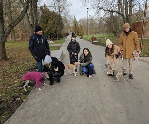 Chartoterapia dla WOŚP. Spacer charytatywny z pieskami po Parku Ludowym w Lublinie